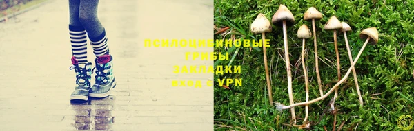 mdpv Алексеевка